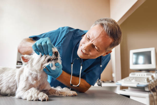 Best Emergency Wisdom Tooth Extraction in Little Chute, WI
